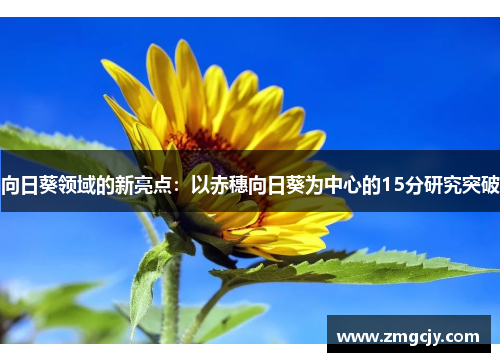 向日葵领域的新亮点：以赤穗向日葵为中心的15分研究突破